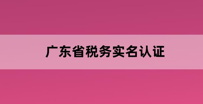 广东省税务实名认证